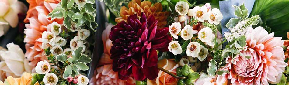 Florists, Floral Arrangements, Bouquets in the Langhorne, Bucks County PA area