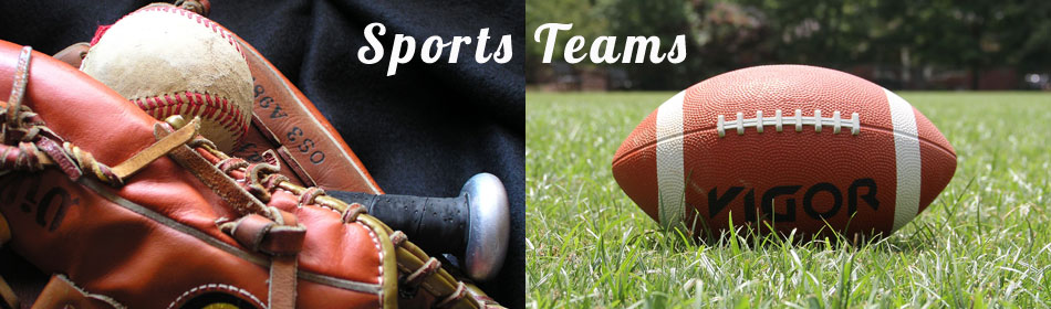 Sports teams, football, baseball, hockey, minor league teams in the Langhorne, Bucks County PA area